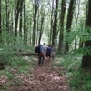 Deutsche Männer im Wald