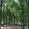 Tiergarten