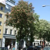 Prenzlauer Berg