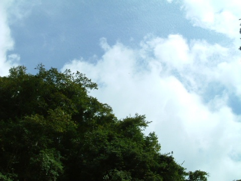 気持ちのいい空