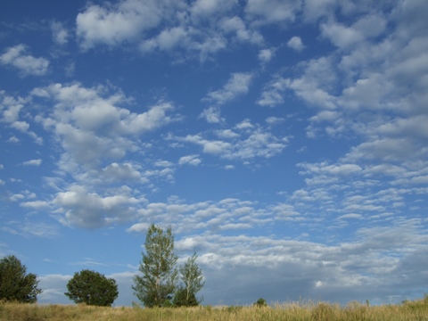 Late Summer Sky