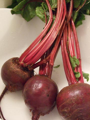 立派な赤ビーツ