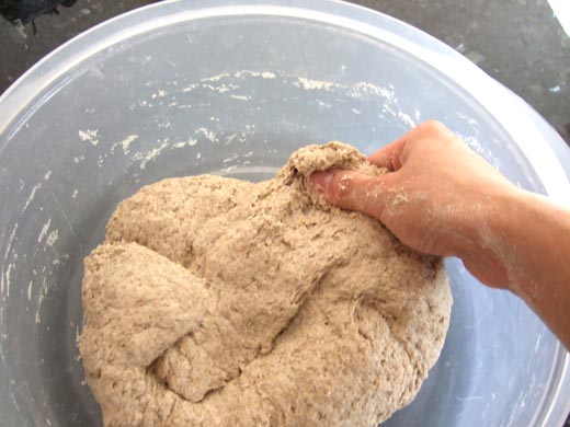 ライ麦パン：グルテンができてくるまで捏ねたところ。
