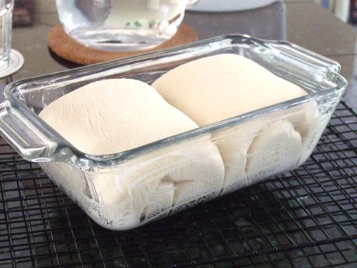 はじめての食パン：焼く直前。