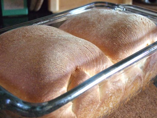 はじめての食パン：焼き上がり