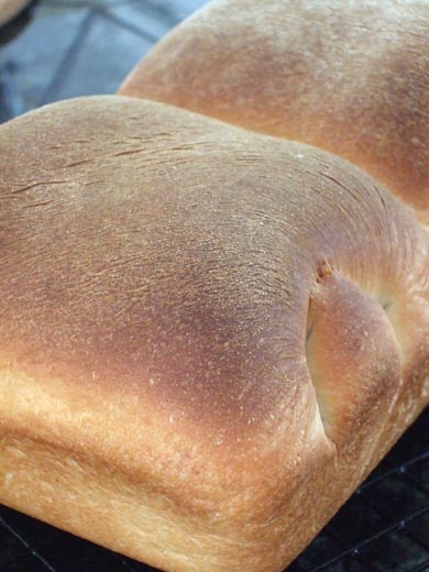 はじめての食パン