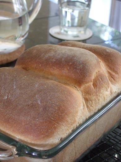 食パン・全粒粉入り